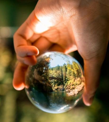 Environmental overview