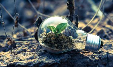 Recycling and Waste Reduction