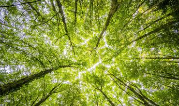 Eco-Friendly Products