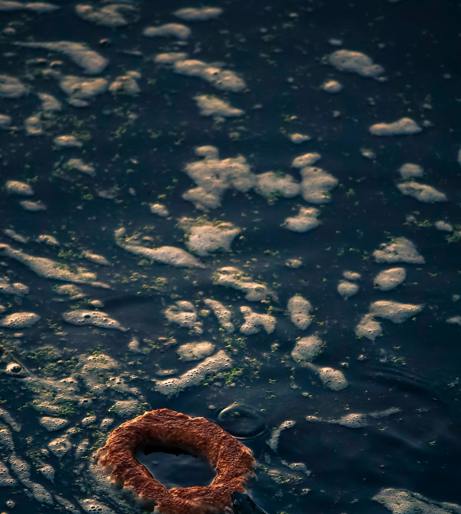 Water pollution overview
