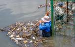 Community cleanup