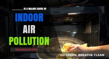 Cooking: A Major Cause of Indoor Air Pollution