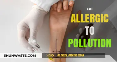 Air Pollution: Am I Allergic to the Air?