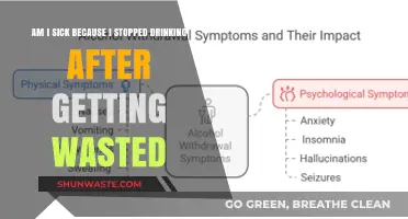 Post-Binge Blues: Understanding Withdrawal Symptoms After Quitting Alcohol
