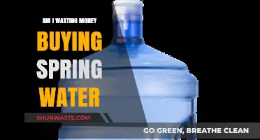 Is Bottled Spring Water Worth It? A Cost-Benefit Analysis