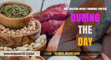 Is Daytime Protein Consumption a Waste of Money? Let's Find Out