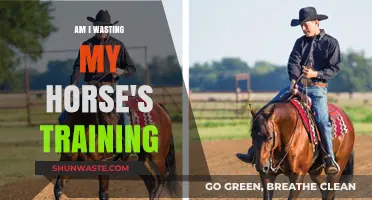 Is Your Horse's Training Effective? Signs You're Wasting Time