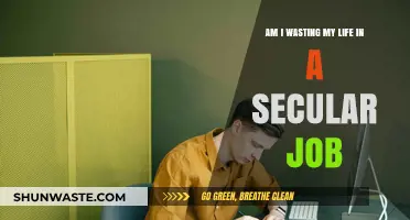 Is My Secular Career a Waste of Time and Potential?