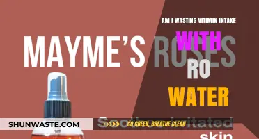 RO Water and Vitamin Absorption: Are You Losing Nutrients?