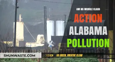 Alabama Pollution: Mobile Class Action Against NS