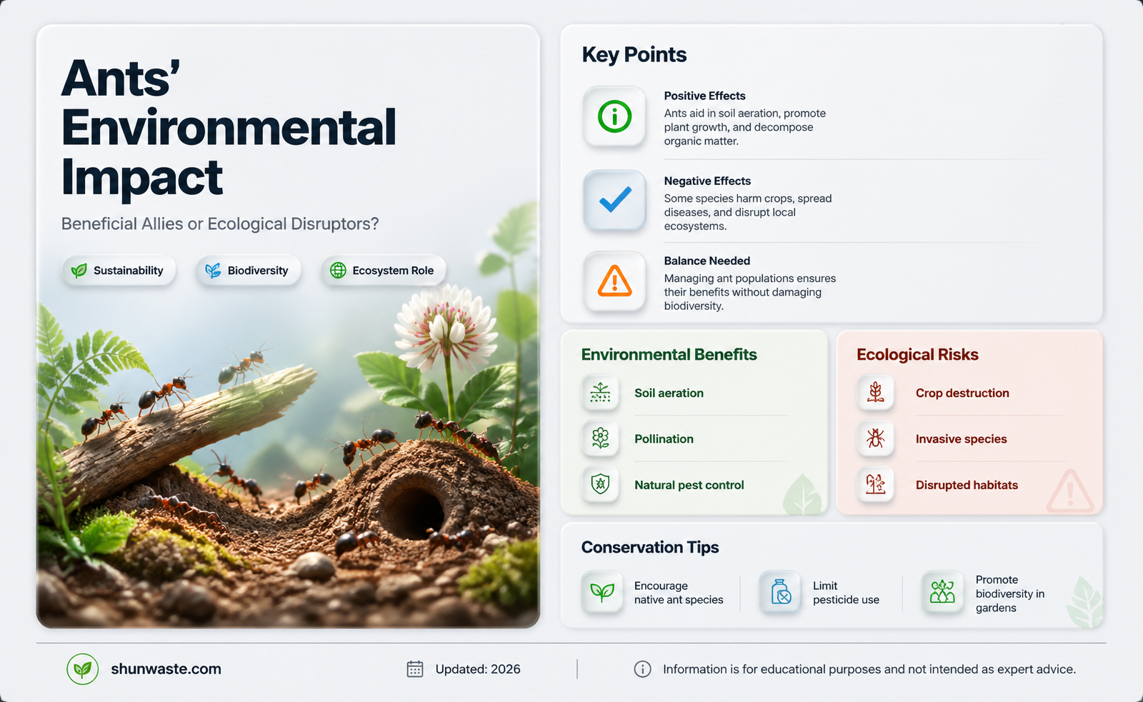 are ants helpful or harmful to the environment