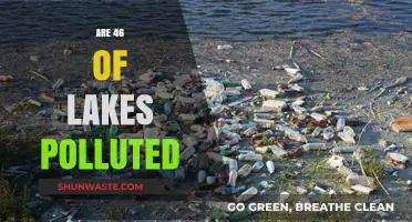 Lakes in Danger: 46% Pollution Rate and Rising