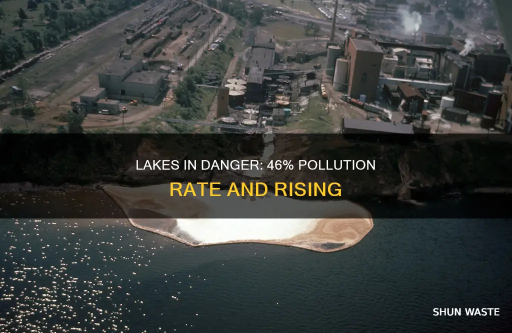are 46 of lakes polluted