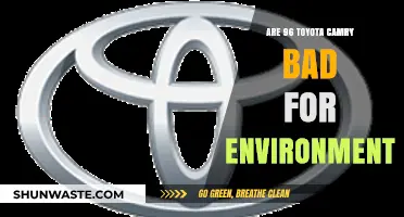 Is the 1996 Toyota Camry an Eco-Friendly Vehicle Choice?