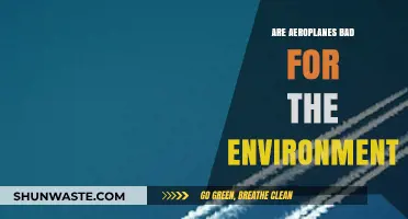 Are Aeroplanes Eco-Friendly? Exploring Aviation's Environmental Impact