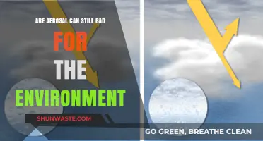 Are Aerosol Cans Still Harming Our Environment? A Closer Look