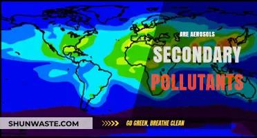 Aerosols: Primary or Secondary Pollutants?