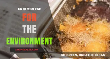 Eco-Friendly Cooking: Are Air Fryers a Green Kitchen Choice?