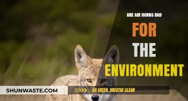 Air Horns and Environmental Impact: Are They Eco-Friendly or Harmful?