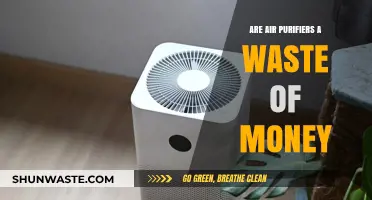 Are Air Purifiers Worth It? Debunking Myths and Facts