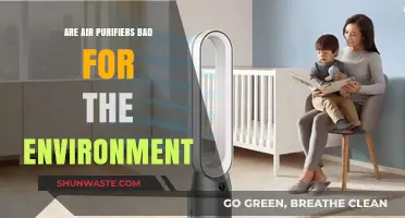 Air Purifiers: Eco-Friendly Solution or Environmental Hazard?