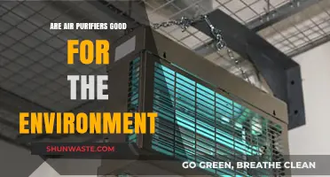Air Purifiers: Eco-Friendly Solution or Environmental Burden?