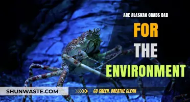 Alaskan Crabs: Environmental Impact and Sustainable Fishing Practices Explored