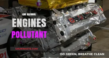 Alcohol Engines: Pollution Solution or Problem?
