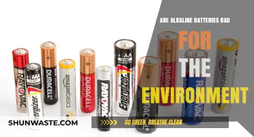 Alkaline Batteries: Environmental Impact and Sustainable Alternatives Explored