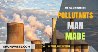 The Air We Breathe: Natural vs. Man-Made Pollutants