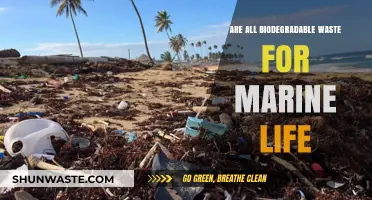 Biodegradable Waste in Oceans: Safe for Marine Life or Harmful?