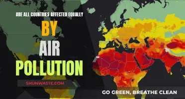 Air Pollution's Global Reach: An Unequal Impact