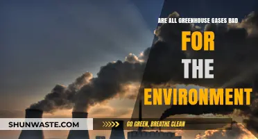 Are All Greenhouse Gases Harmful? Unraveling Their Environmental Impact