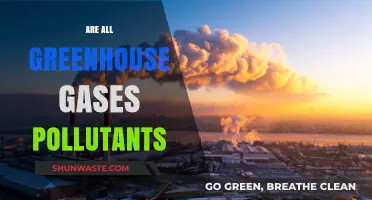 Greenhouse Gases: Pollutants or Not?