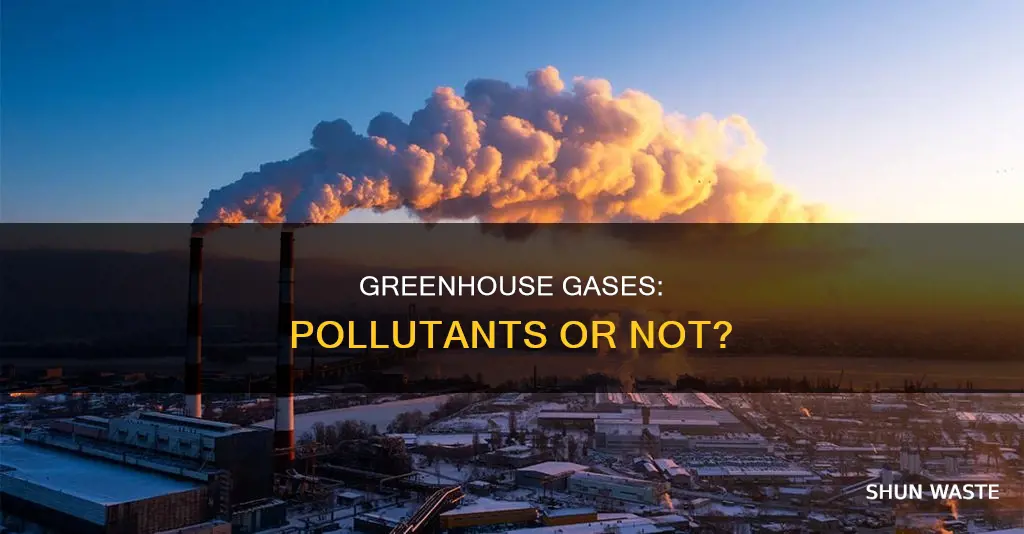 are all greenhouse gases pollutants