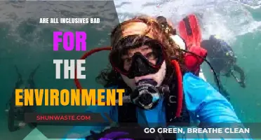 Are All-Inclusive Resorts Harming Our Environment? A Critical Look