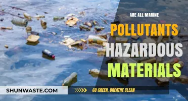 Marine Pollutants: Hazardous or Not?