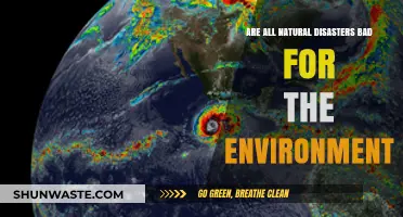 Natural Disasters: Environmental Foes or Unseen Ecosystem Restorers?
