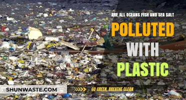 Plastic Pollution: Are Our Oceans Doomed?