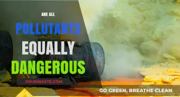 Understanding the Varying Degrees of Pollutant Danger