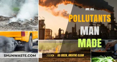 The Truth About Pollution: Man-Made or Natural?