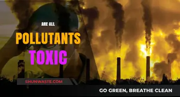 Understanding Toxicity: Are All Pollutants Poisonous?