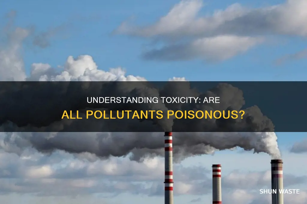 are all pollutants toxic