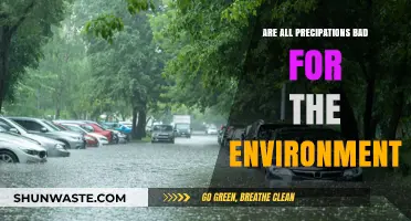 Are All Precipitations Harmful? Exploring Environmental Impacts and Benefits