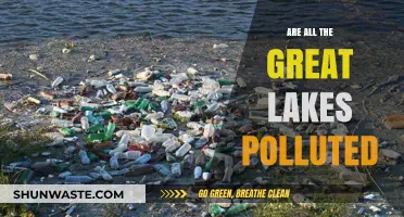 Great Lakes Pollution: How Bad Is It?
