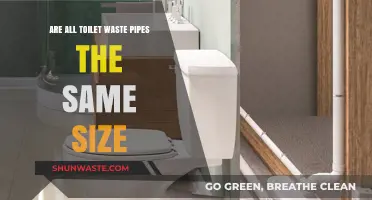 Do All Toilet Waste Pipes Share the Same Standard Size?