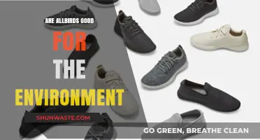 Are Allbirds Eco-Friendly? Unpacking Their Environmental Impact and Sustainability