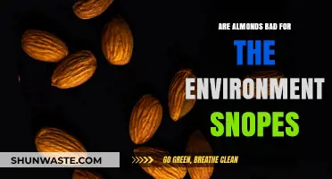 Are Almonds Eco-Friendly? Debunking Environmental Myths with Snopes