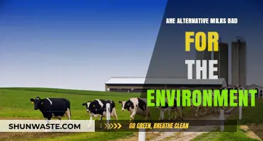 Environmental Impact of Alternative Milks: Sustainable or Harmful Choice?