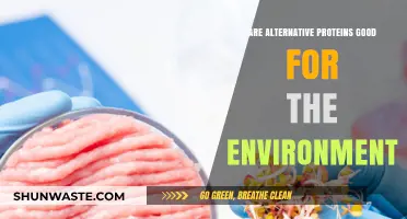 Alternative Proteins: Eco-Friendly Solution or Environmental Myth?